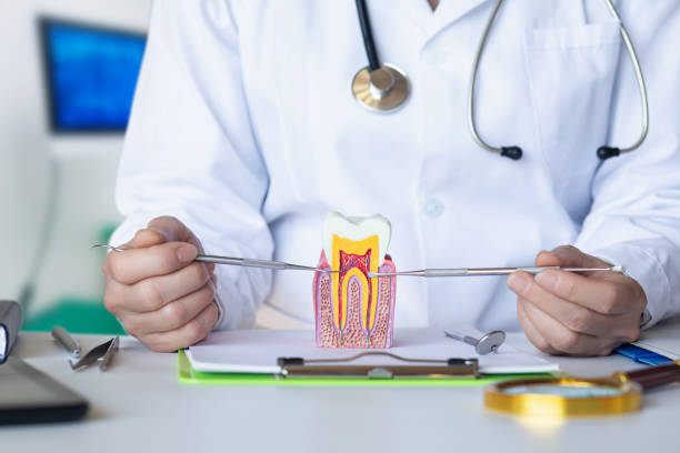 Best Emergency Dental Care for Trauma or Injury in Glen Carbon, IL